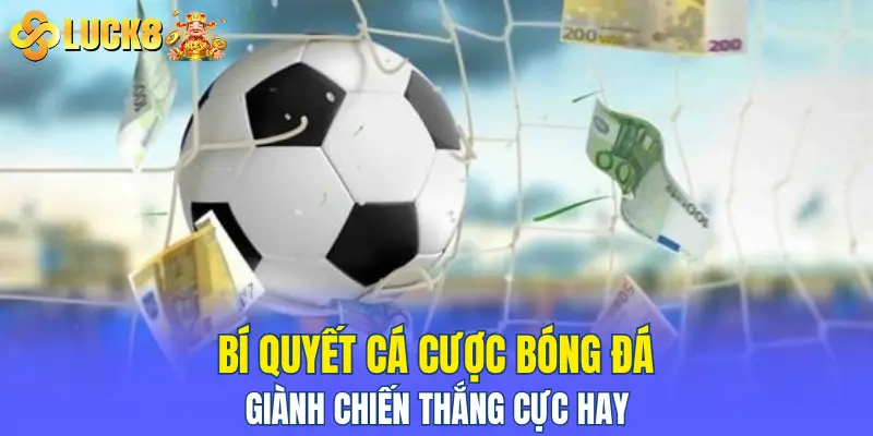 Bí quyết cá cược bóng đá giành chiến thắng cực hay