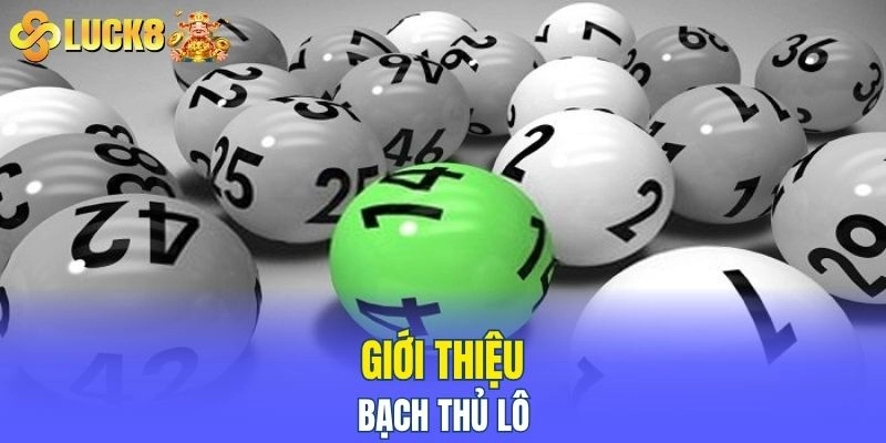 Giới thiệu bạch thủ lô