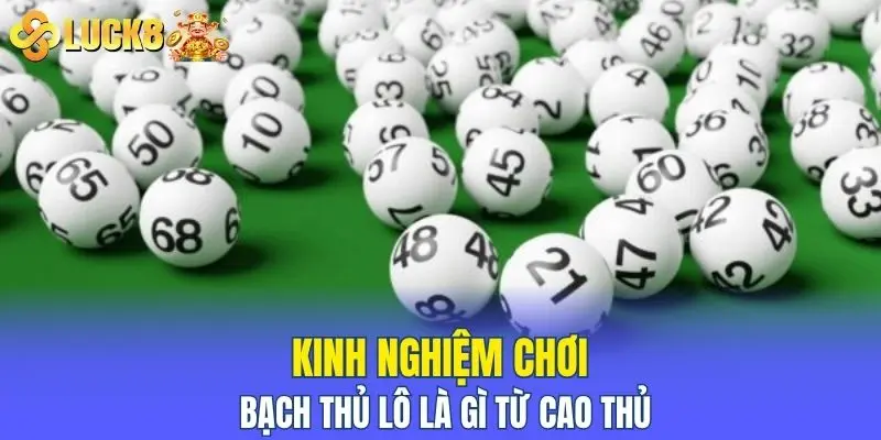 Kinh nghiệm chơi bạch thủ lô là gì từ cao thủ