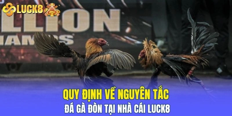 Quy định về nguyên tắc đá gà đòn tại nhà cái LUCK8