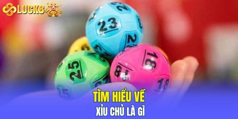 Tìm hiểu về xỉu chủ là gì
